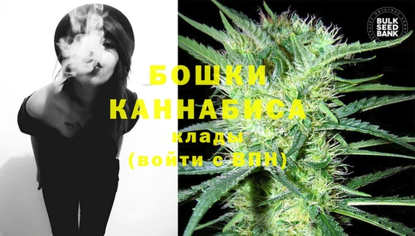 гидра Балахна
