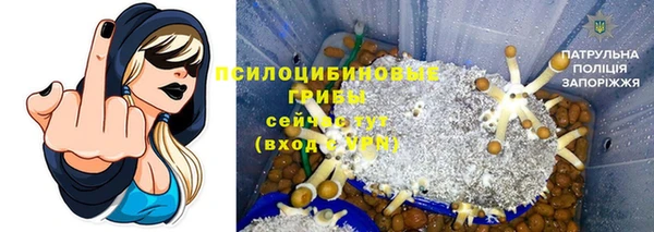 гидра Балахна