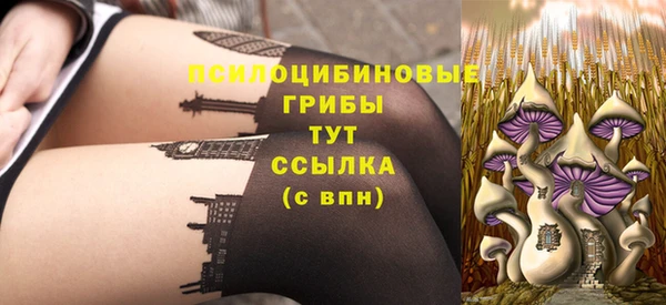 дмт Баксан