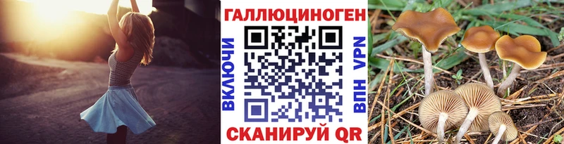 Псилоцибиновые грибы GOLDEN TEACHER  Грязи 